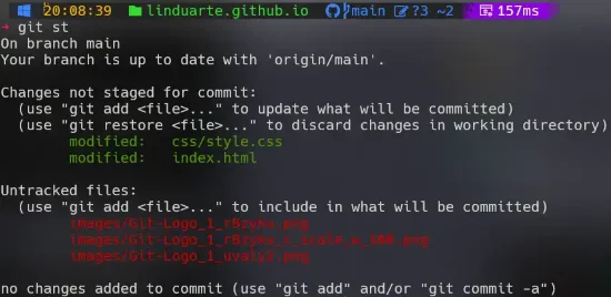 Terminal Git bash